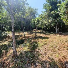 4 сотки, участок - изображение 2