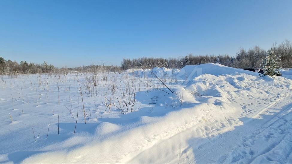 11,5 сотки, участок 1 000 000 ₽ - изображение 1