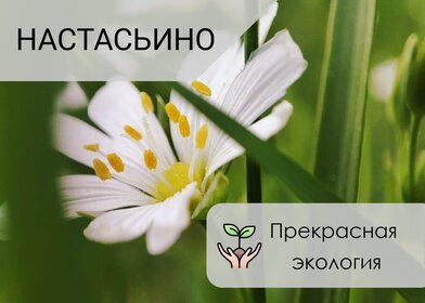 7 соток, участок 1 721 280 ₽ - изображение 28