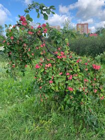 Купить однокомнатную квартиру площадью 34 кв.м. в Белгороде - изображение 11