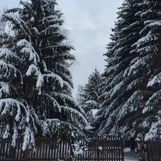 дом + 40 соток, участок - изображение 4