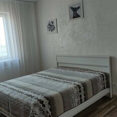 Квартира 41,9 м², 1-комнатная - изображение 5