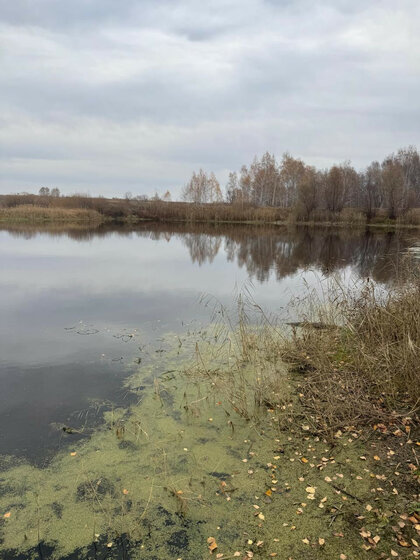 196 м², помещение свободного назначения 12 000 000 ₽ - изображение 58