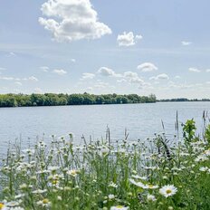 7 соток, участок - изображение 1