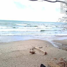 Квартира 28,5 м², 1-комнатная - изображение 2