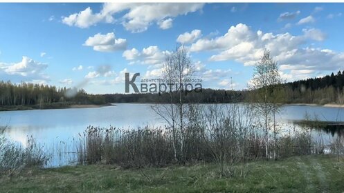 Купить квартиру с отделкой под ключ в Новоусманском районе - изображение 31