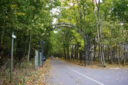 Квартира 39,5 м², 1-комнатная - изображение 1