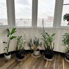 Квартира 88,2 м², 2-комнатная - изображение 1