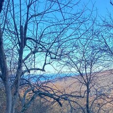 5 соток, участок - изображение 2