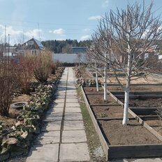 дом + 8 соток, участок - изображение 3