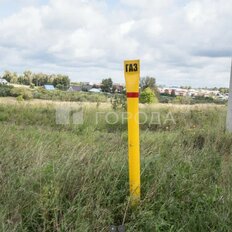 8 соток, участок - изображение 3