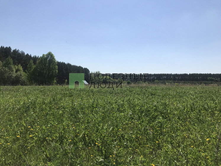 854,2 м², торговое помещение 60 000 000 ₽ - изображение 26