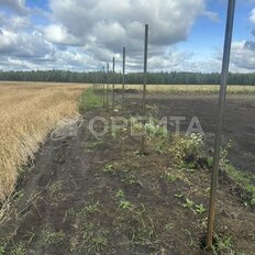 53 сотки, участок коммерческого назначения - изображение 4