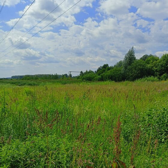 63,5 м², 2-комнатная квартира 32 583 312 ₽ - изображение 21