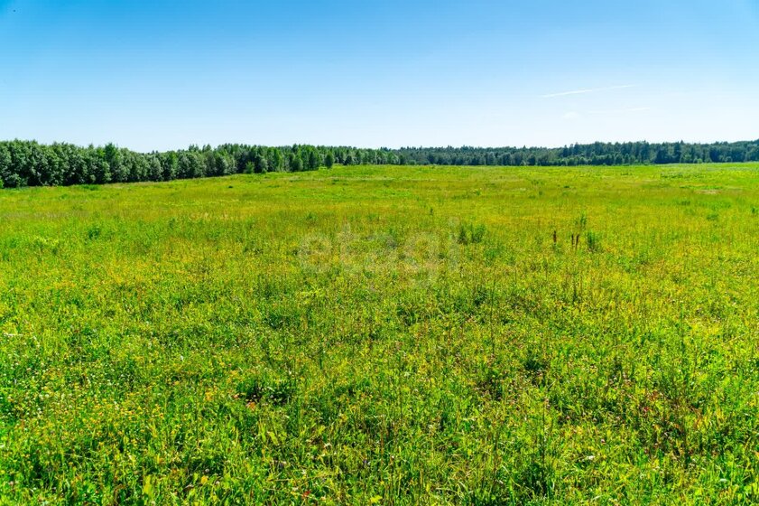 23,4 м², квартира-студия 4 225 723 ₽ - изображение 27