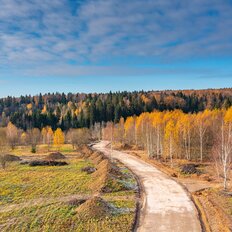 8 соток, участок - изображение 1