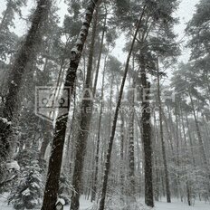 28 соток, участок - изображение 3