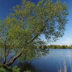 Квартира 21,8 м², студия - изображение 4