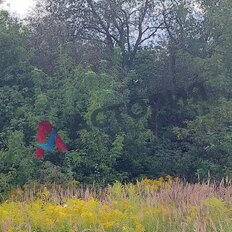 14 соток, участок - изображение 5