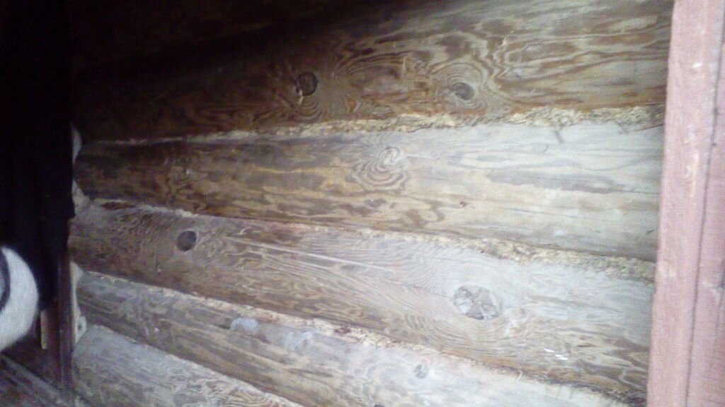 Дом 35 м² в деревня Фатьяново — фото 8 из 10