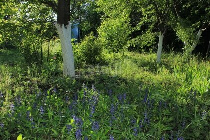 Купить квартиру с евроремонтом и с парковкой в Городце - изображение 8