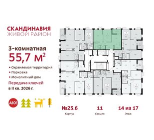 55 м², 3-комнатная квартира 12 300 000 ₽ - изображение 103