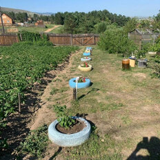 12 соток, участок - изображение 5