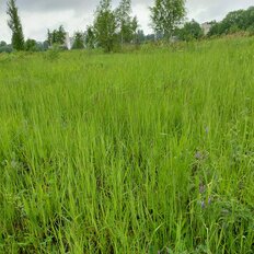 6 соток, участок - изображение 2