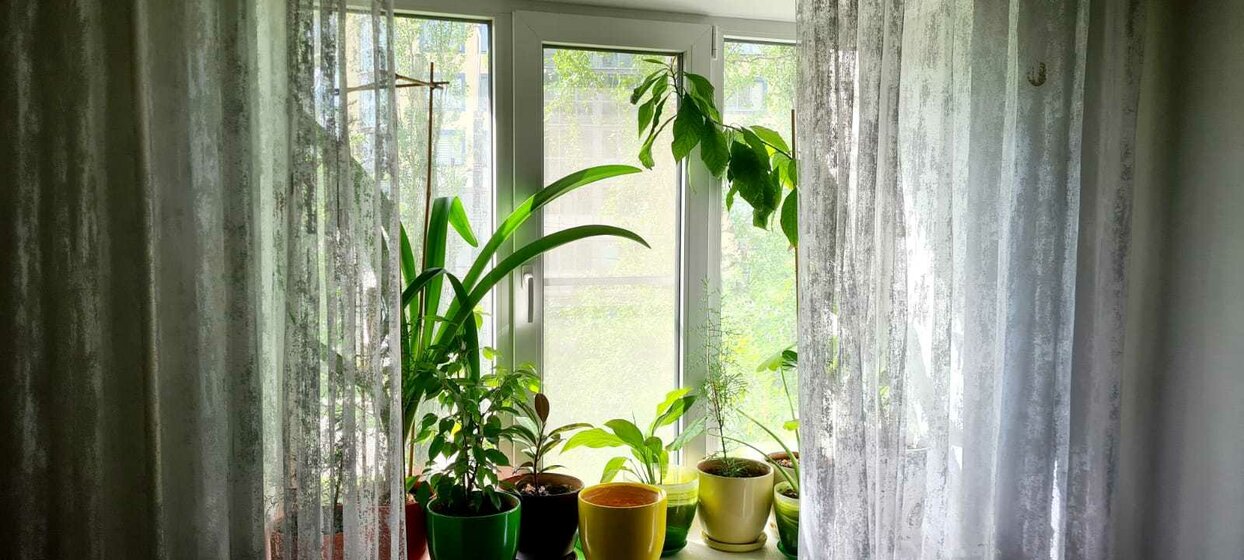 30,6 м², 1-комнатная квартира 3 100 000 ₽ - изображение 26