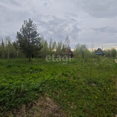 12 соток, участок - изображение 3