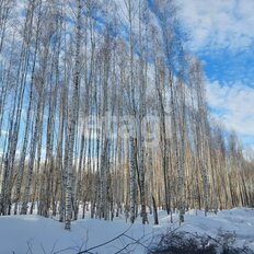 10 соток, участок - изображение 3