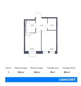 Квартира 32,5 м², 1-комнатная - изображение 1