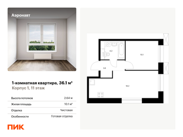 Квартира 36,1 м², 1-комнатная - изображение 1