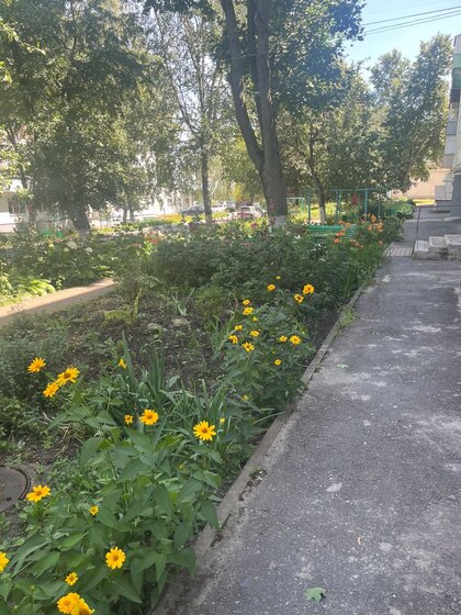 45 м², 3-комнатная квартира 2 299 999 ₽ - изображение 71