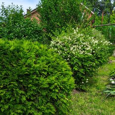 дом + 5,4 сотки, участок - изображение 4