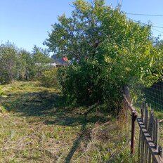 4 сотки, участок - изображение 4