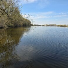 8 соток, участок - изображение 1