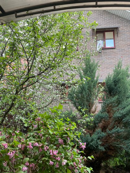 28 м² дом, 7,3 сотки участок 3 800 000 ₽ - изображение 59