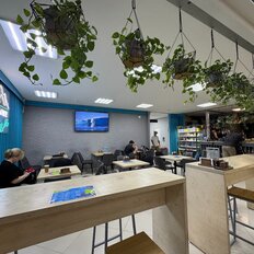 101 м², готовый бизнес - изображение 2