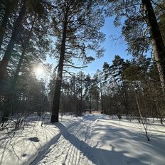 10 соток, участок - изображение 3