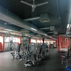 509,8 м², помещение свободного назначения - изображение 3