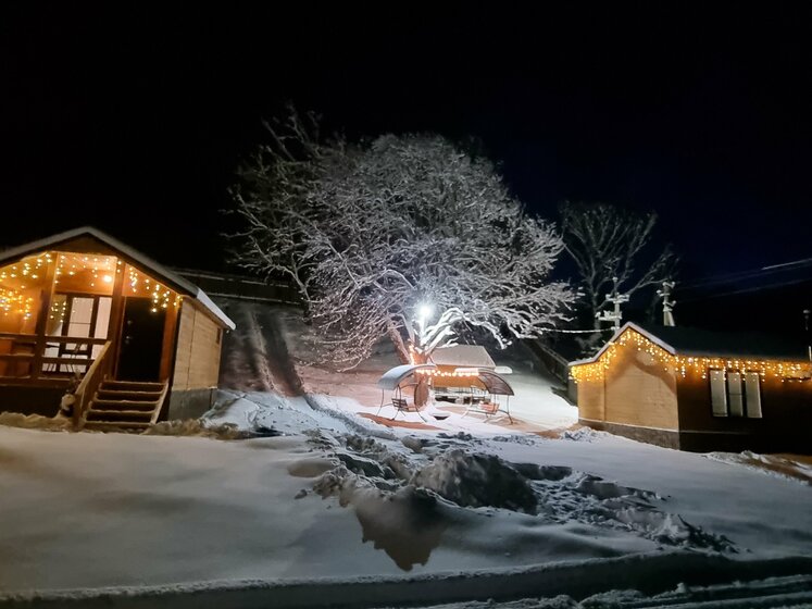 160 м² дуплекс, 10 соток участок 15 000 ₽ в сутки - изображение 56