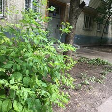 Квартира 45,5 м², 2-комнатная - изображение 3
