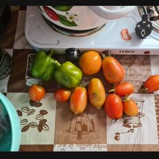 дом + 12 соток, участок - изображение 4