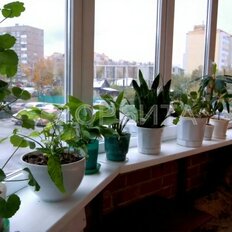 Квартира 90,5 м², 3-комнатная - изображение 1