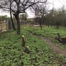 26 соток, участок - изображение 1