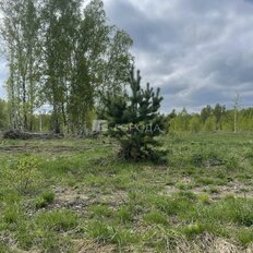 6 соток, участок - изображение 3