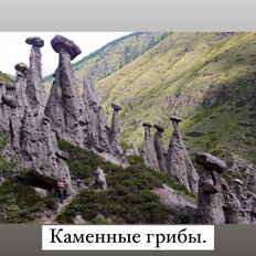 1 га, участок - изображение 5