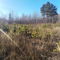 18 соток, участок - изображение 5