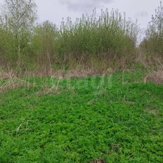 10 соток, участок - изображение 5